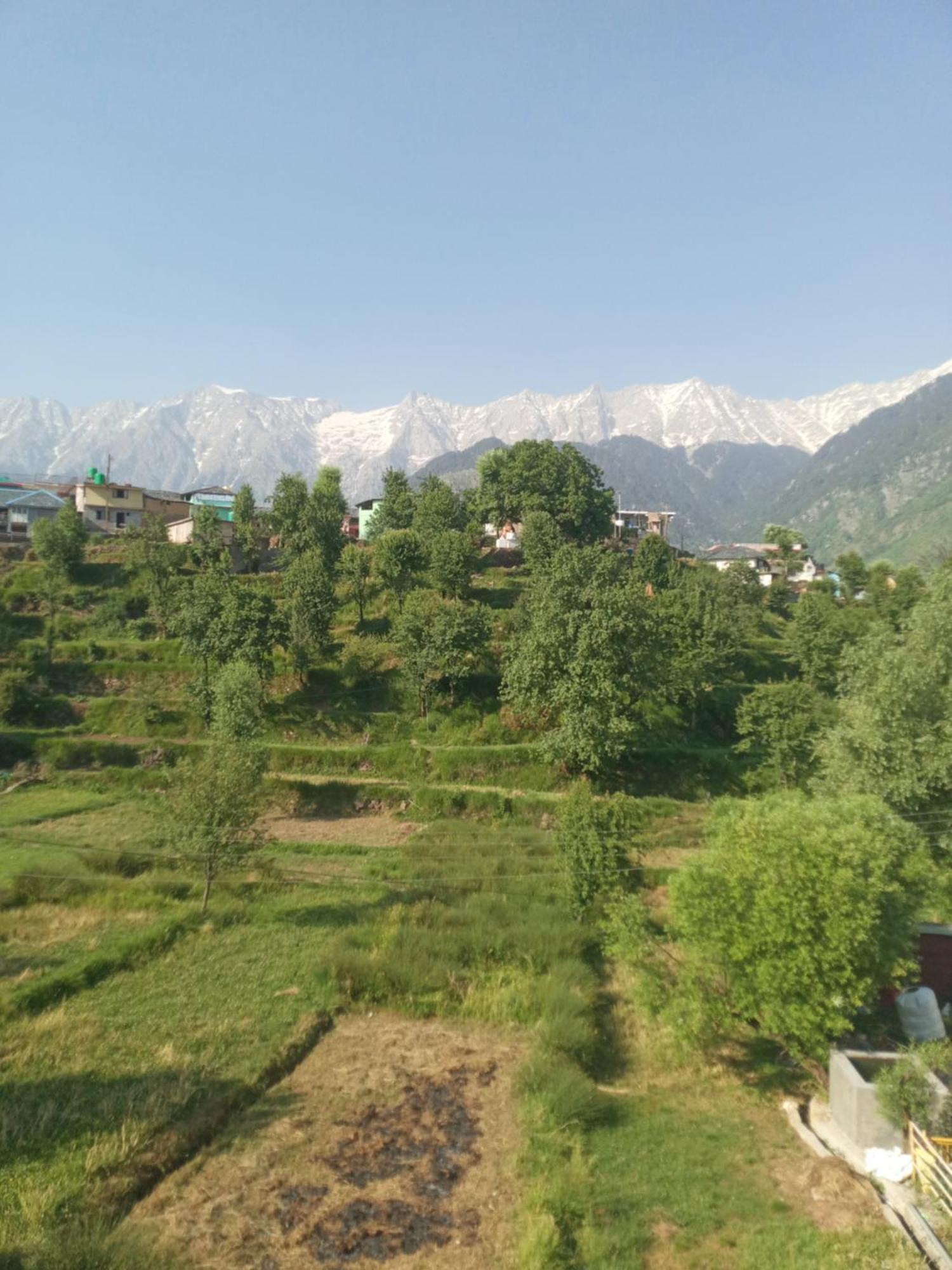 Nirmal Homestay Dharamshala Zimmer foto
