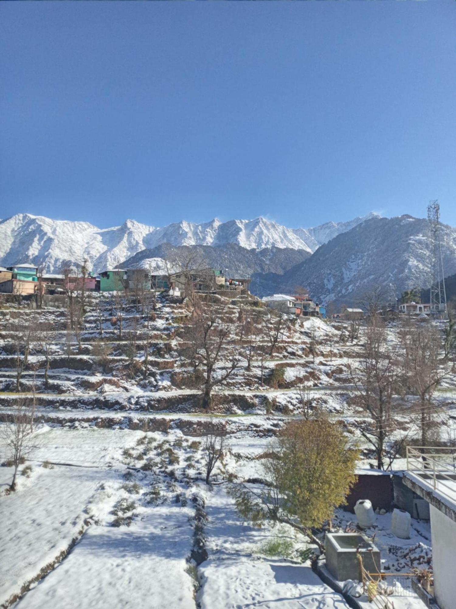 Nirmal Homestay Dharamshala Exterior foto