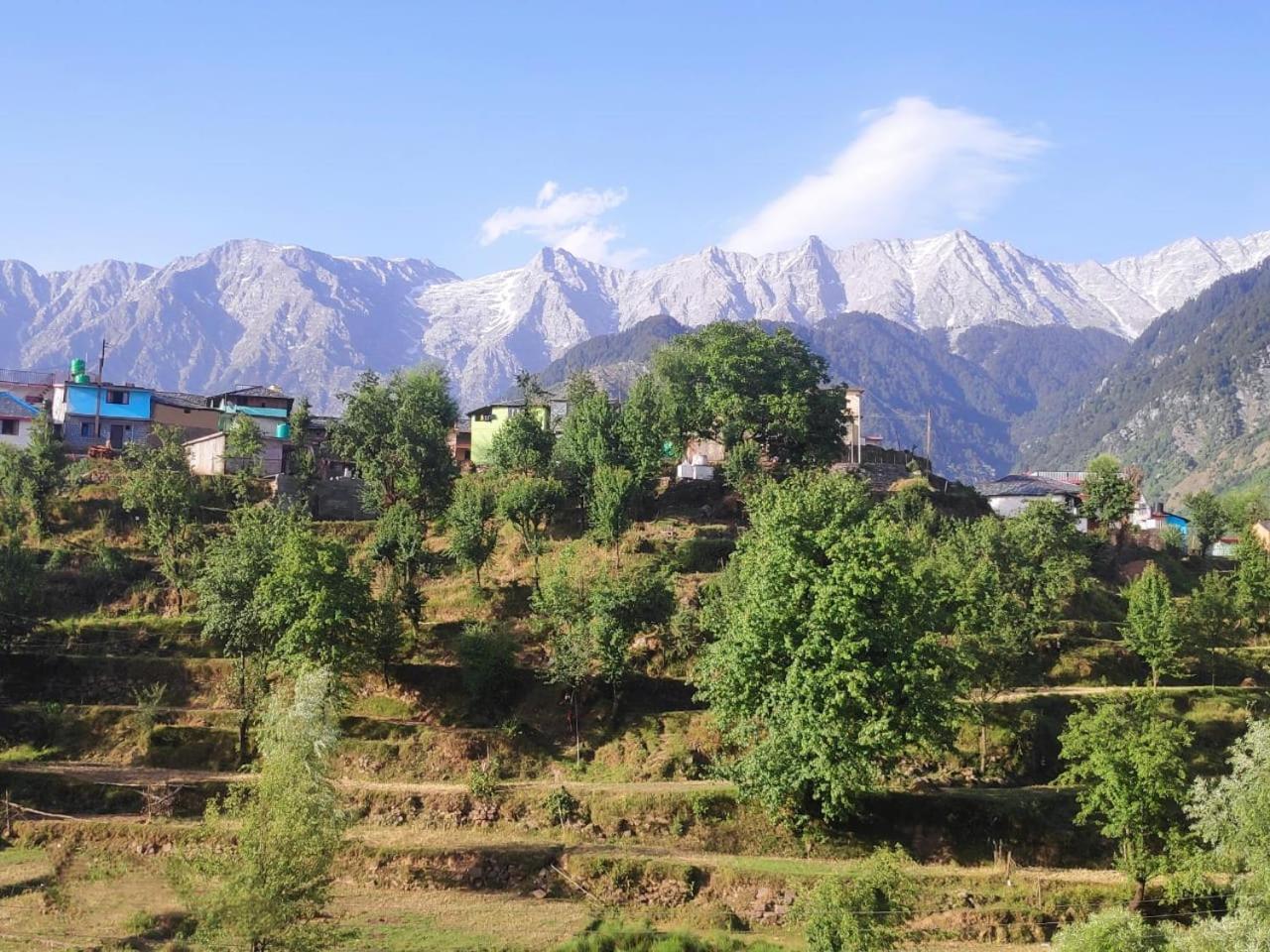 Nirmal Homestay Dharamshala Exterior foto