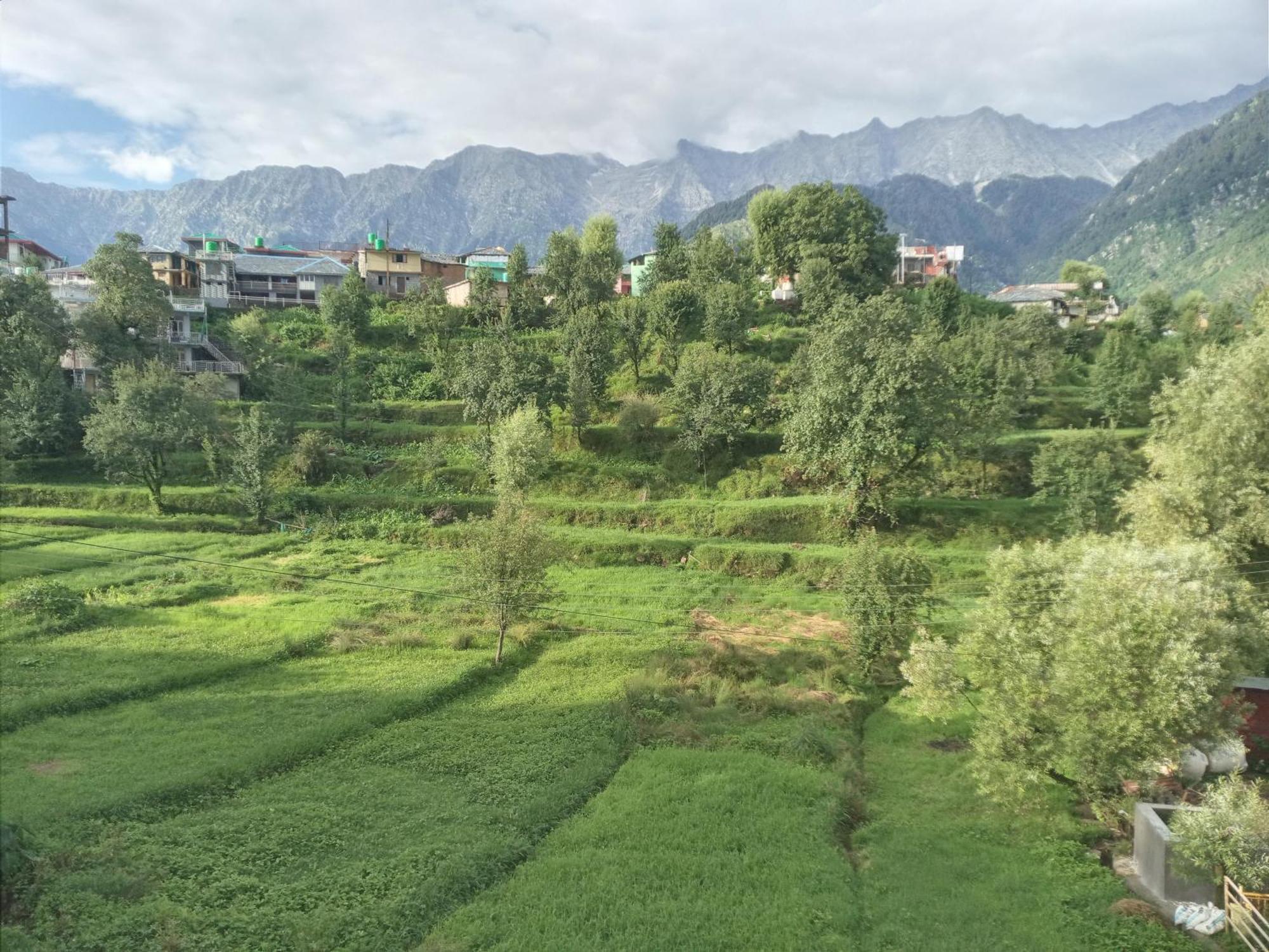 Nirmal Homestay Dharamshala Exterior foto